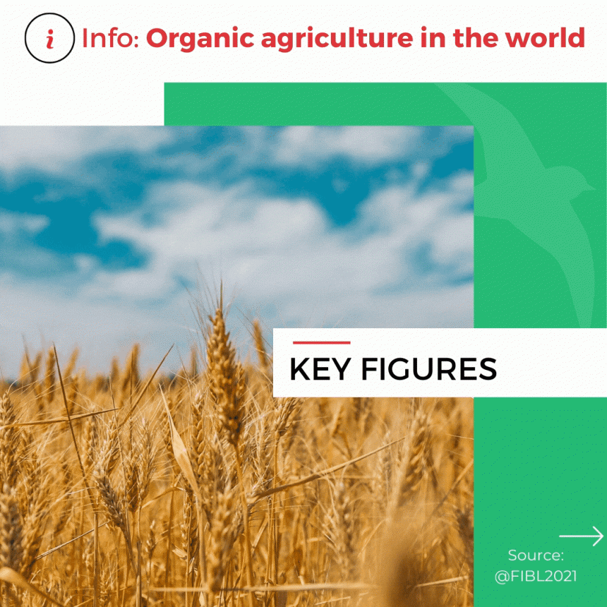 Key figures of organic agriculture in the world 🌍