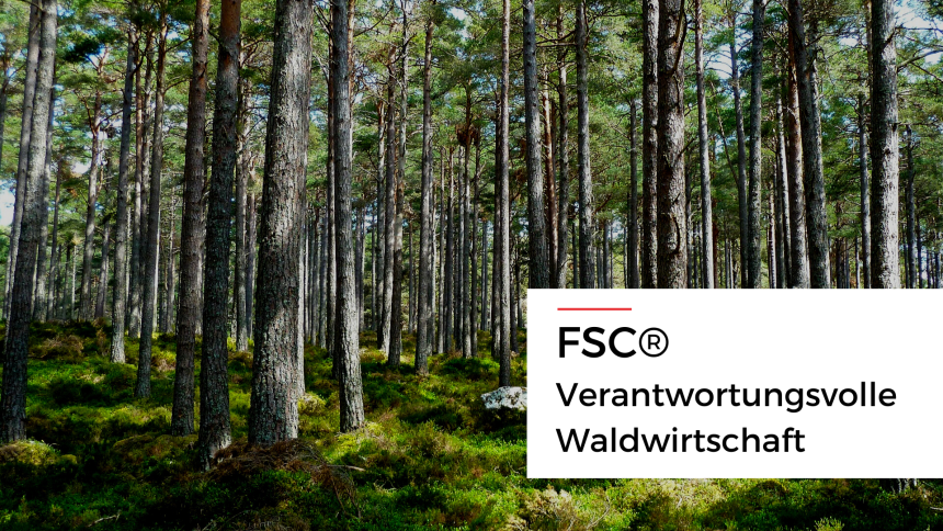 🔎IM ZOOM...// FSC ® - Verantwortungsvolle Waldwirtschaft