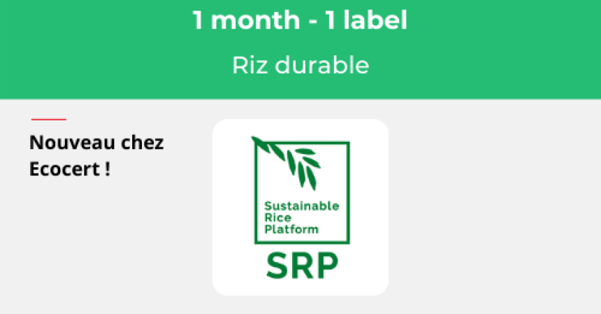 🔎 ZOOM SUR …// SRP, Une vérification pour des rizières responsables