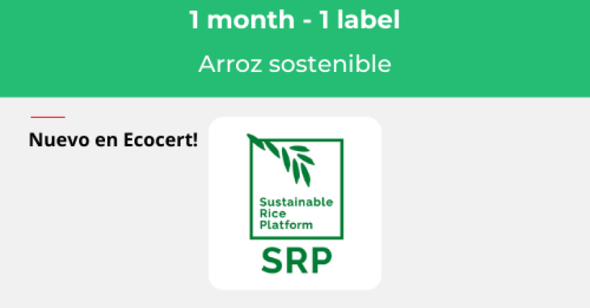 🔎 ENFOQUE EN… // SRP, Una etiqueta para campos de arroz responsables