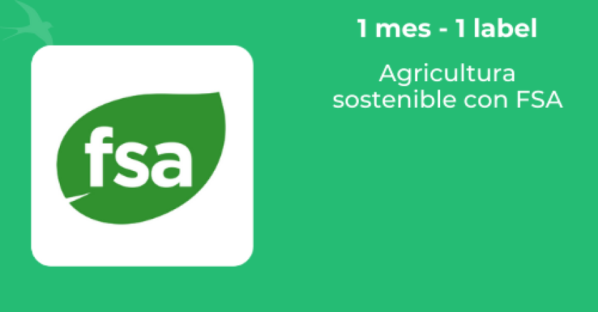 🔎ENFOQUE EN... // FSA, una verificación para impulsar la mejora continua de la sostenibilidad en las explotaciones agrícolas.