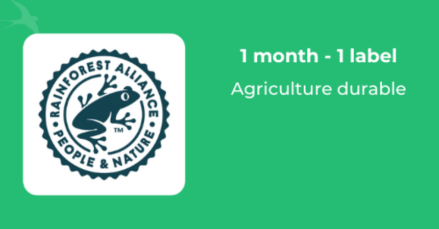 🔎ZOOM SUR // Rainforest Alliance, un label pour l’agriculture durable
