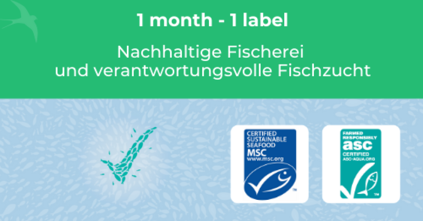 🔎 IM ZOOM... // MSC und ASC, Siegel für nachhaltige Fischerei und verantwortungsvolle Fischzucht