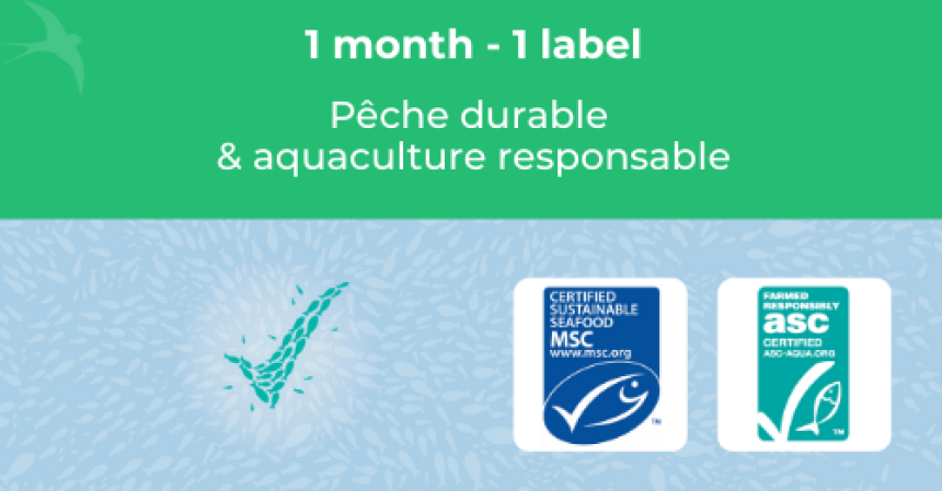 🔎 ZOOM SUR... // MSC et ASC, les programmes de certification pour une pêche durable et une aquaculture responsable
