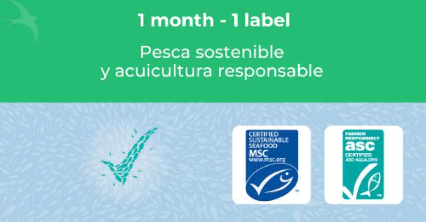 🔎 ENFOQUE EN... // MSC y ASC, programas de certificación de pesca sostenible y acuicultura responsable