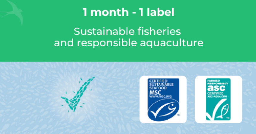 🔎 ZOOM ON... // MSC and ASC, certification programs for sustainable fisheries and responsible aquaculture