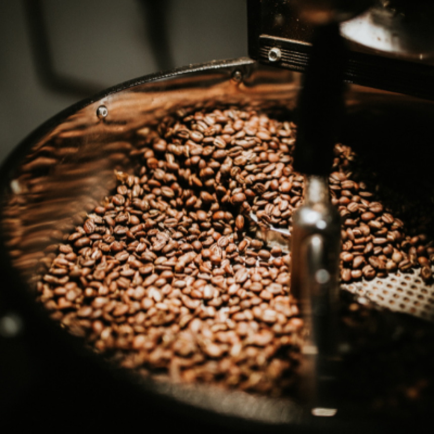 Café orgânico e convencional: as diferenças e vantagens do café orgânico certificado