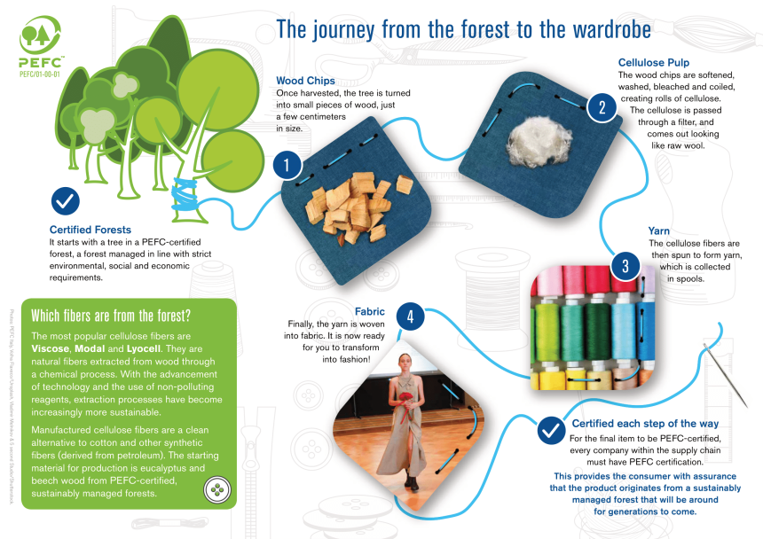 ZOOM ON // PEFC, a label for sustainable forest management Ecocert