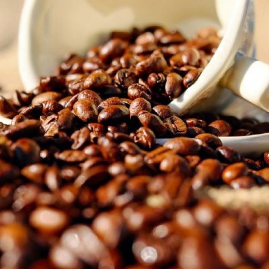 Por que certificar sua produção de café orgânico?