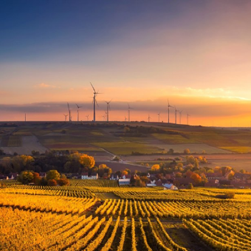 ESG: saiba por que as empresas devem ter uma certificação de sustentabilidade