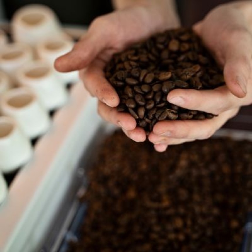 Saiba como controlar a acidez do solo na produção de café orgânico