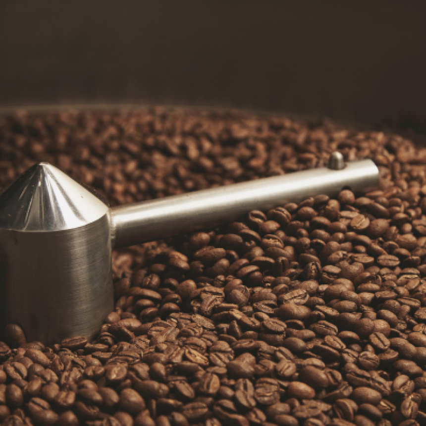 O impacto ambiental da produção de café e as vantagens das práticas sustentáveis