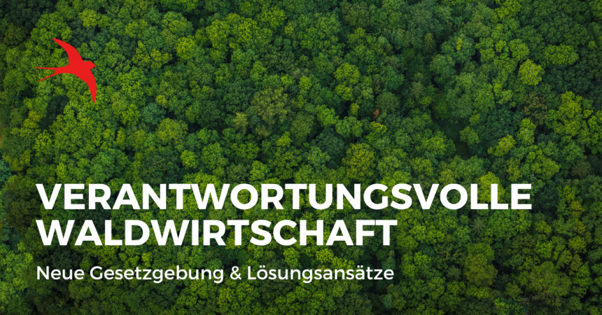 Neue Gesetzgebung und Lösungen für nachhaltigere Wälder