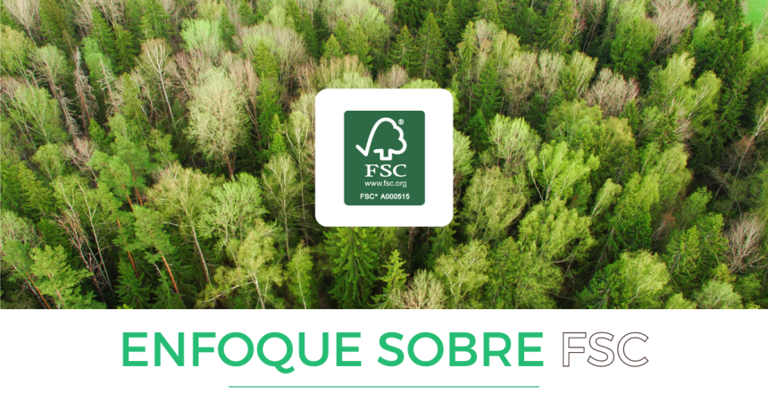 Enfoque sobre… FSC, una etiqueta para una gestión forestal sostenible